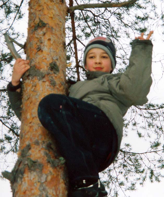 Tree climber---20/3/2004---Древолаз