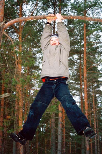 Tree climber---20/3/2004---Древолаз
